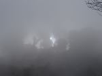 Morning Mist