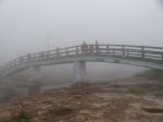 Summerfogs