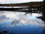 Delamere Forest Sky Reflection