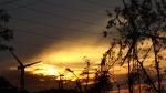 Rising Sun