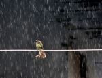 Relax In The Rain
