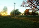 Sunset In Bernie Mo