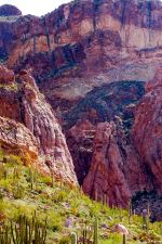 Canyon Colors