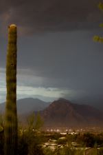 Desert Storm Coming