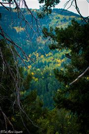 Finding Color
