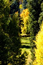 Path To Fall