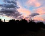 Pink And Purple Drama