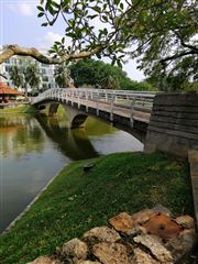 The Bridge