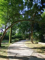 Walk In The Park