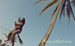 Flying Without Wings
