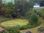 Beautiful Green Scene