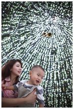 Under The Christmas Tree
