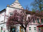 House And Tree Of Matching Colours