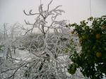 Fighting Winter