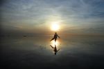 Dancing With Mr Sun