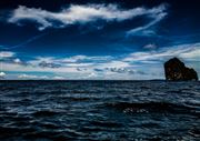 Waves In The Ocean