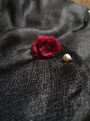 Red Rose