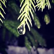 Water Droplet