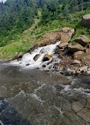 Water Spring