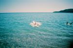 Relaxation In The Blue  Transparent Water Of Sea