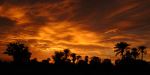 Beautiful Sunset