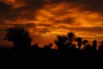 Beauty Of Nature