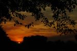 Golden Time