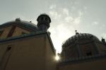 Sun Rays