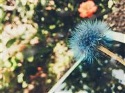 Explore Nature