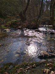 The Rivers Of Greece