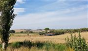 Fields In Italy