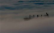 Fog