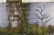 Moss