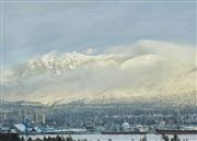 Vancouver Winter