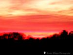 Beauty Of The Sun