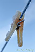 Cold Peg