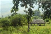 Small Hut Green Nature