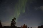 Auroras In Norway