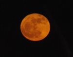 Halloween Moon
