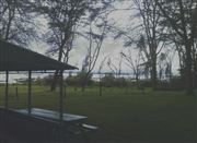 The Calm Enviroment Of Lake Naivasha, Kenya