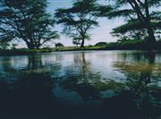 Natures Reflection