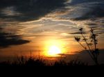 New Day