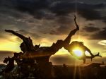 Sunset In Dark Formation