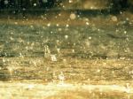 Rain Drops