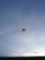 Soaring Kite Setting Sun