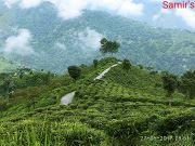 Heavenly Nature