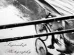 Life In The Fast Lane