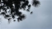 Kissing Clouds