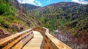 Wooden Walkways