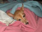 Boo Keeping Warm